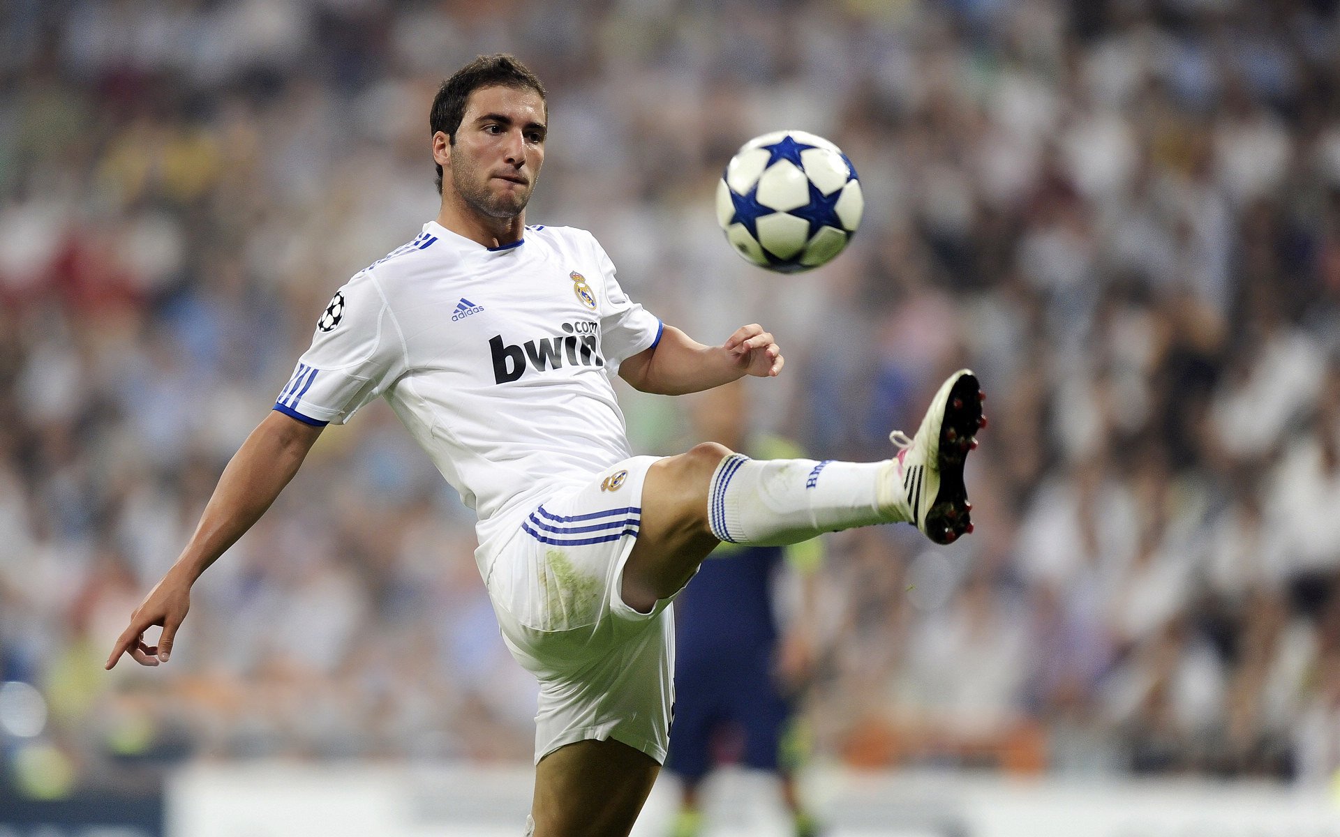 “跑步+亲情!牛仔3K亲子跑在香港温馨启程”